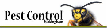 Pest Control Wokingham link